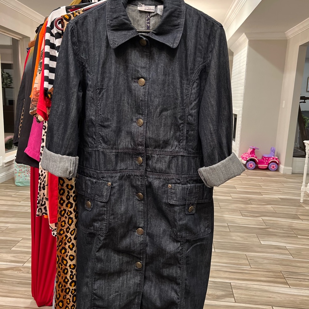 Dark Denim Button-Up Dress